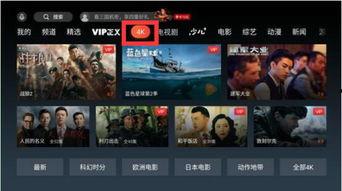 新疆饭店爆料视频播放器,揭秘事件背后真相  第2张