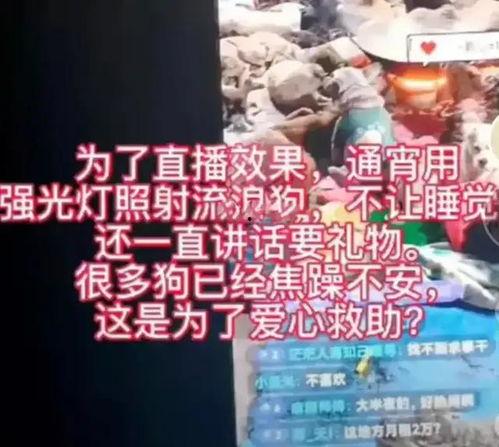 爆料网红哭穷视频大全,揭秘网络现象背后的真实故事  第3张