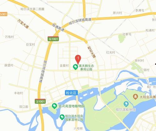 哈尔滨松北区最新爆料,揭秘神秘项目背后的真相 第1张 哈尔滨松北区最新爆料,揭秘神秘项目背后的真相 第1张